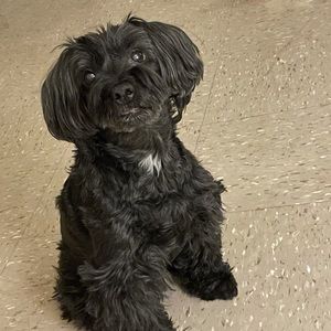 Meet your Posher, Eremia